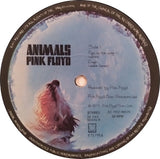 Animals