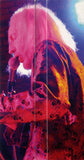 Jet Propelled Photographs