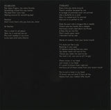 The Bravery