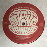 Bosporus Bridges - A Wide Selection Of Turkish Jazz And Funk 1968-1978