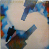 My Life In The Bush Of Ghosts