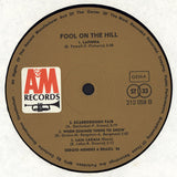 Fool On The Hill
