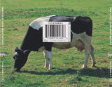 Atom Heart Mother