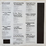 Time Bomb! Fleshtones Present: The Big Bang Theory