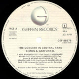 The Concert In Central Park