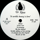 A Terrible Beauty Is Born