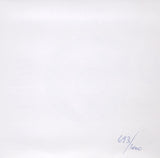 Raising Earthly Spirits