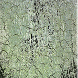 Altrastrata