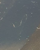 2001 Also Sprach Zarathustra (Deodato Vol. 1 / Deodato Vol. 2)