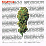 Os Cães Ladram Mas A Caravana Não Pára