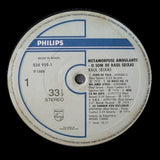 Metamorfose Ambulante / O Som De Raul Seixas