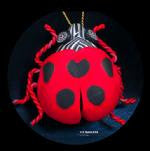 Alive At The Ladybug House