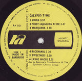 Calypso Time