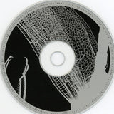 Dance Music For Insects