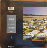 A Momentary Lapse Of Reason