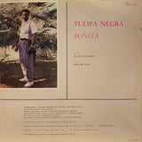 Tulipa Negra (Bonita)
