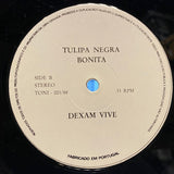 Tulipa Negra (Bonita)