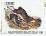 Rabbit Songs