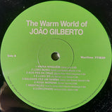 The Warm World Of João Gilberto