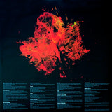 Caustic Love