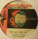 My Love, My Life