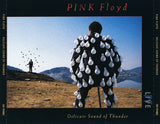 Delicate Sound Of Thunder
