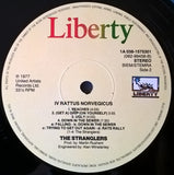 IV Rattus Norvegicus