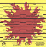 I Cried / Yesterday, Today, Tomorrow