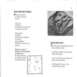 25 Songs: Winter Songs / The World As It Is Today