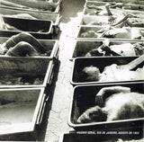 Os Cães Ladram Mas A Caravana Não Pára