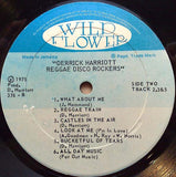 Reggae Disco Rockers