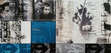 Hybrid Theory