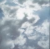 Heaven & Earth