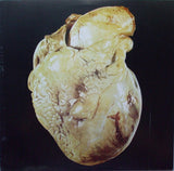 Corações Futuristas