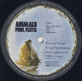 Animals