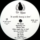 A Terrible Beauty Is Born