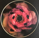Rose Clouds Of Holocaust