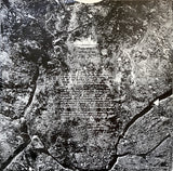 A Vision Shared (A Tribute To Woody Guthrie And Leadbelly)