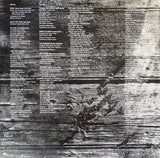 A Vision Shared (A Tribute To Woody Guthrie And Leadbelly)