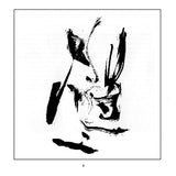 Bridge Over The X-Stream