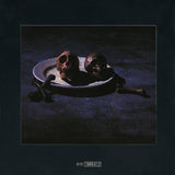 Countdown To Extinction