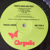 Exotic Birds And Fruit