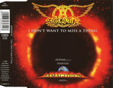 I Don't Want To Miss A Thing