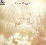 Fresh Maggots