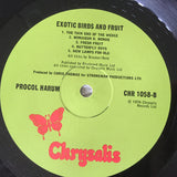 Exotic Birds And Fruit
