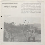 Recolhas Musicais Da Tradição Oral Portuguesa 3: Trás-Os-Montes / Alentejo / Algarve