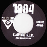 Henri Flesh Archives