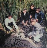 Children Of The Mushroom