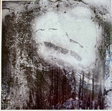 A Moon Shaped Pool