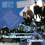 Best of All The Covers (And More)